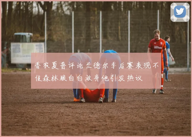 香农夏普评论兰德尔季后赛表现不佳森林狼白白放弃他引发热议